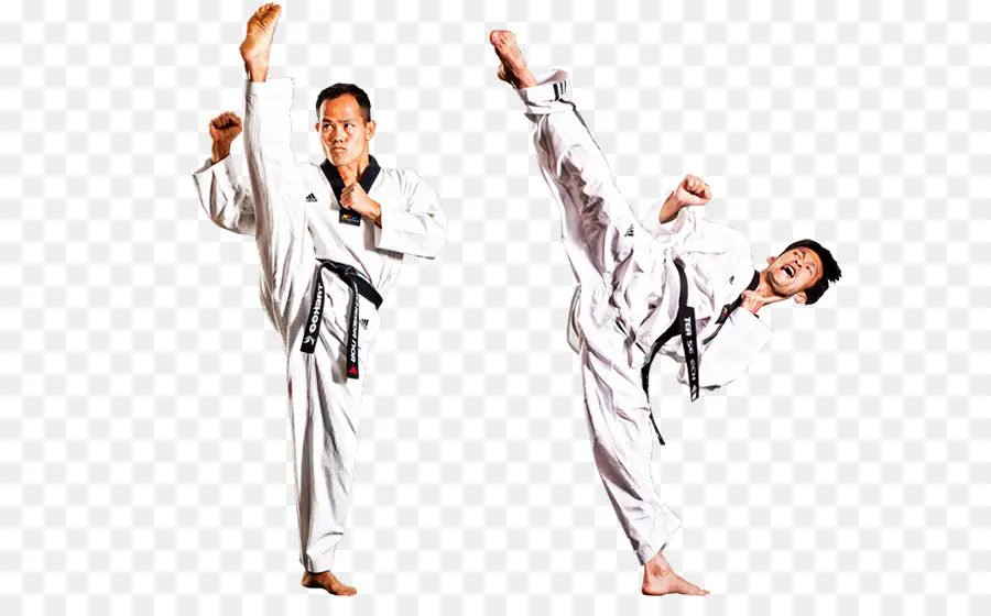 Artistes Martiaux，Taekwondo PNG