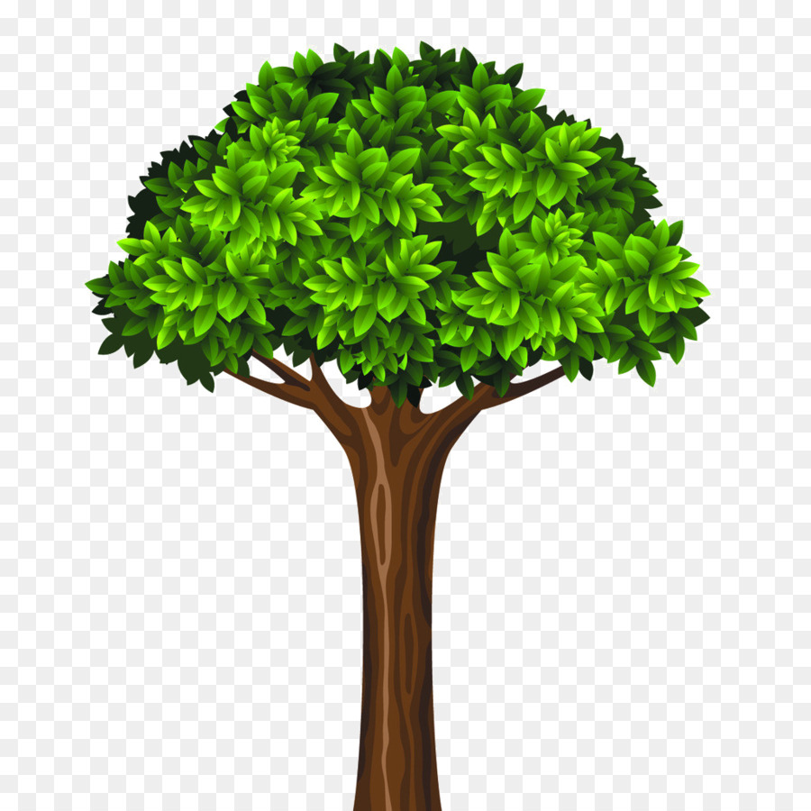 Arbre Vert，Nature PNG