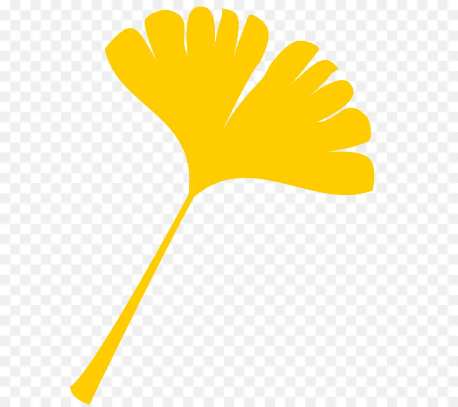 Feuille De Ginkgo Jaune，Feuille PNG