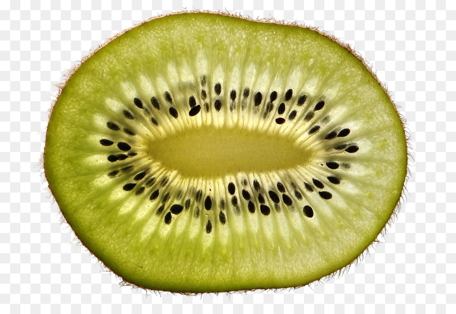 Tranche De Kiwi Séché，Vert PNG