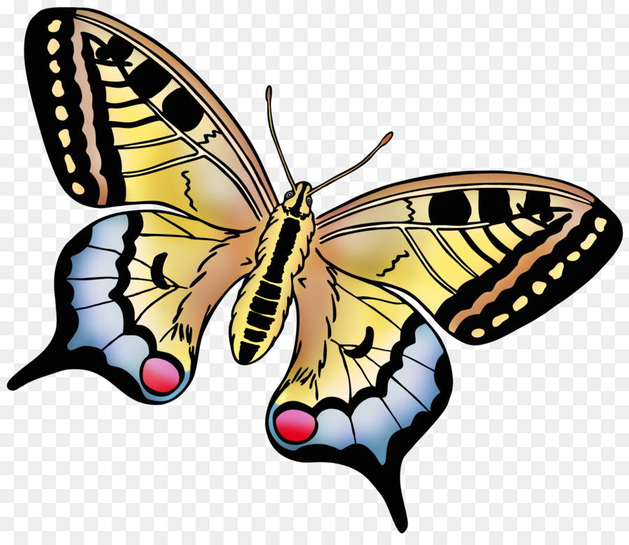 Papillon，Fleur PNG