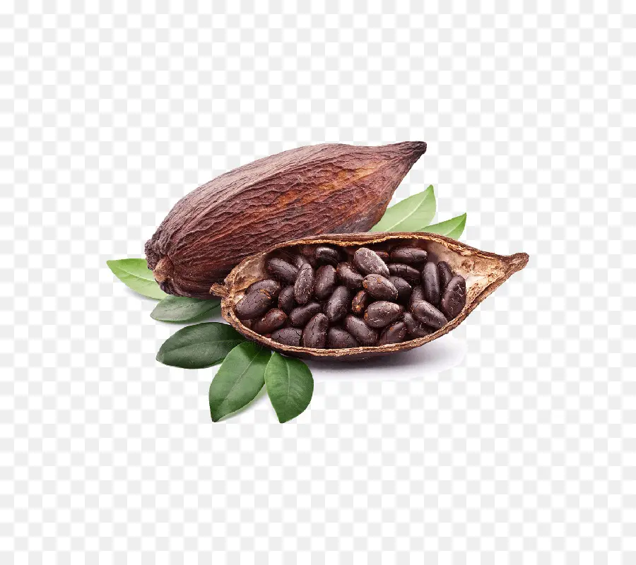 Gousse De Cacao，Fèves De Cacao PNG