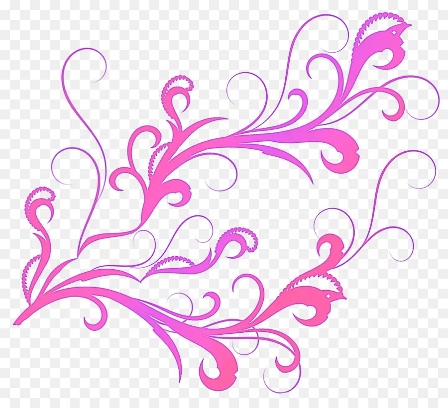 Cadre Floral，Rose PNG