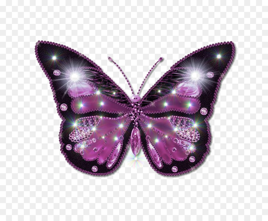 Papillon Violet，Insecte PNG