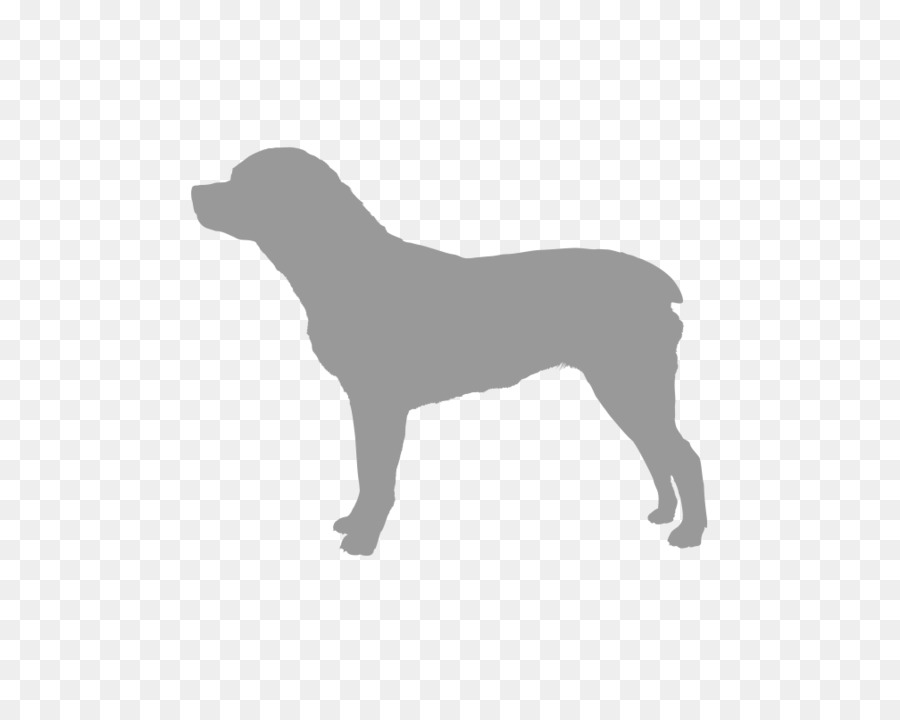 Silhouette De Chien，Animal De Compagnie PNG