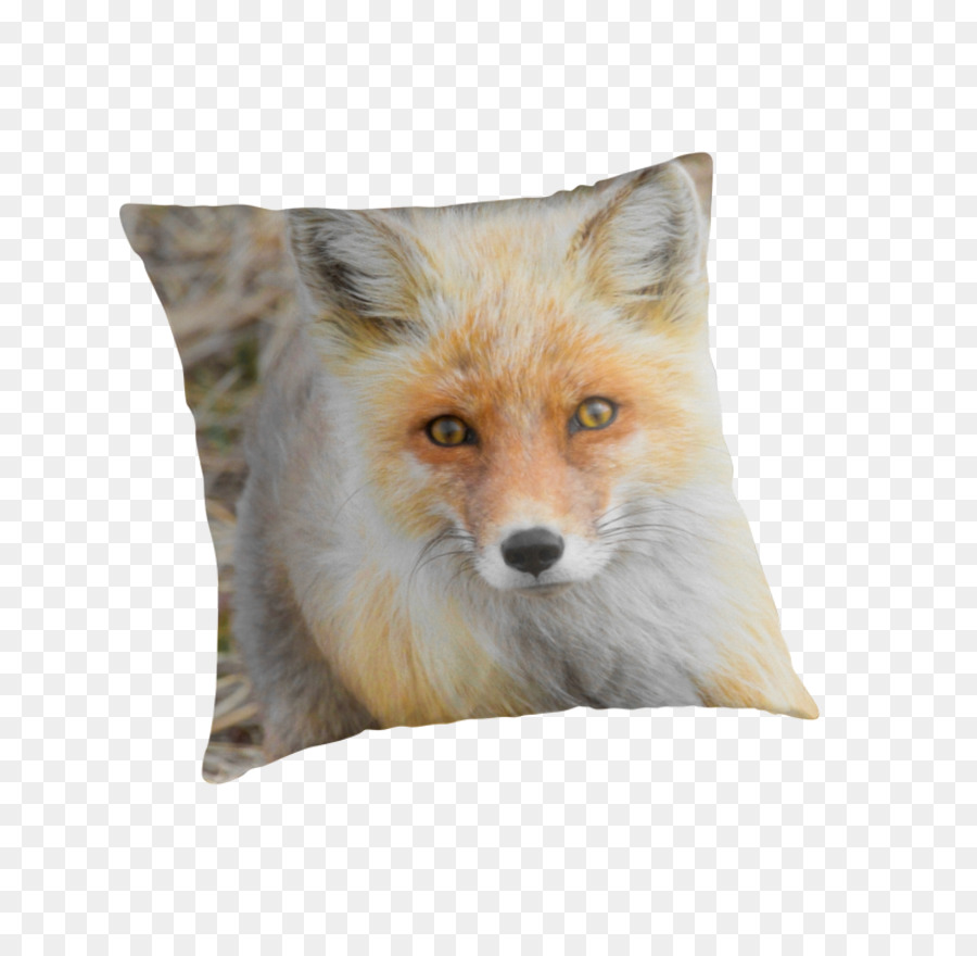 Renard Rouge，Fourrure PNG