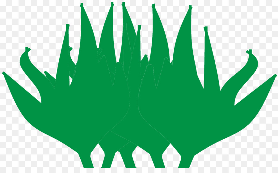 Feuille，Vert PNG