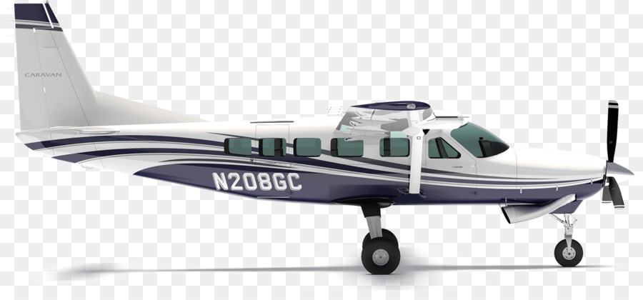 Petit Avion，Ailes PNG