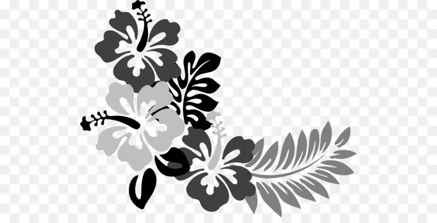 Motif Floral Noir，Fleurs PNG