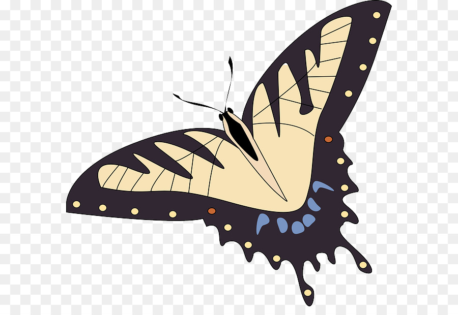 Papillon，Insecte PNG