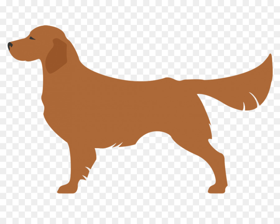 Chien Brun，Animal De Compagnie PNG