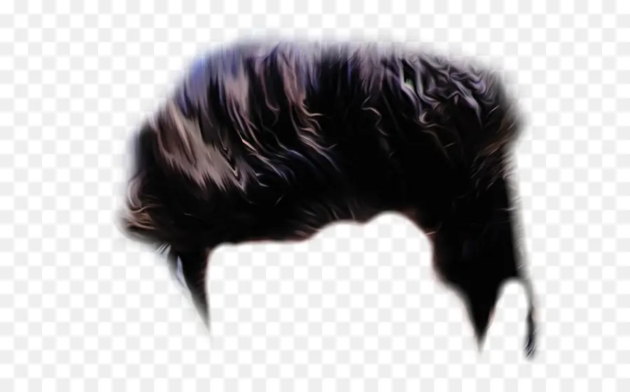 Cheveux Noirs，Coiffure PNG