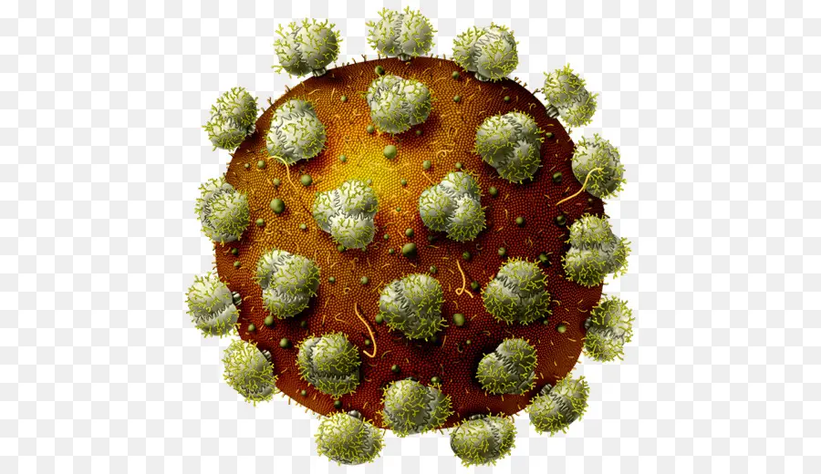 Virus，Microbe PNG