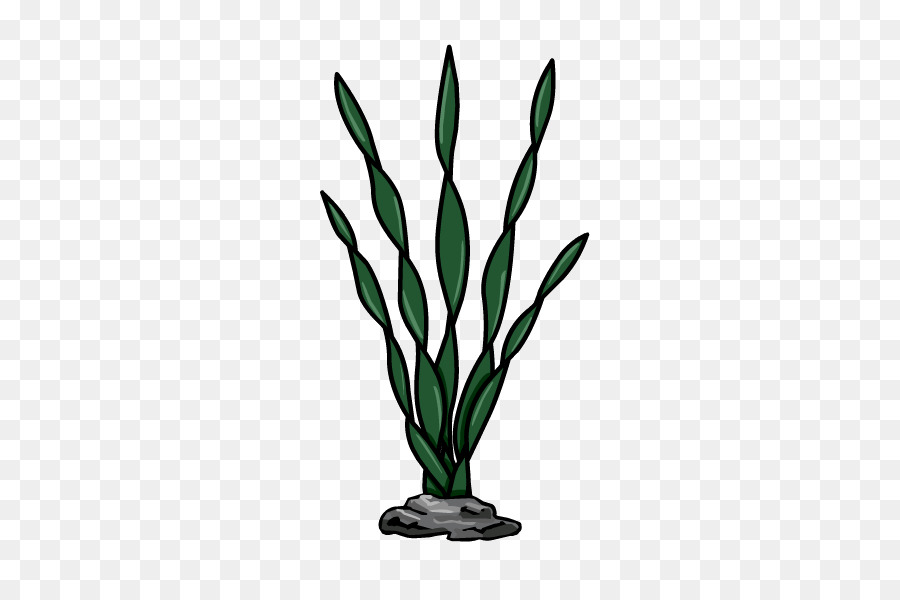 Herbe，Usine PNG