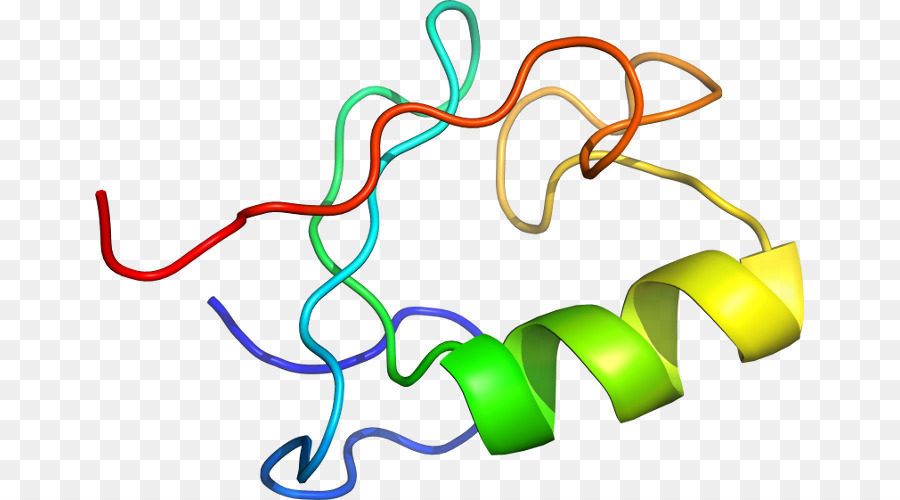 Structure Des Protéines，Molécule PNG