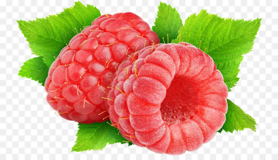 Framboises，Feuilles PNG