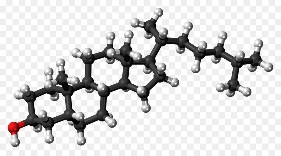 Structure Moléculaire，Chimie PNG