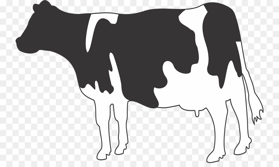 Vache Noire Et Blanche，Animal PNG