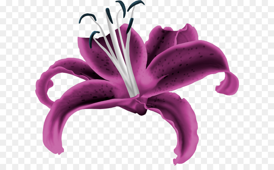 Fleurs Roses，Fleurs PNG