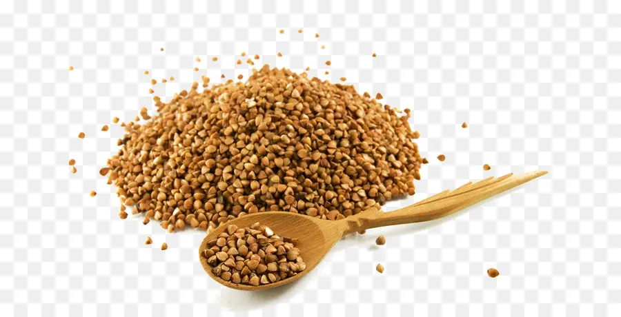 Sarrasin，Grains PNG