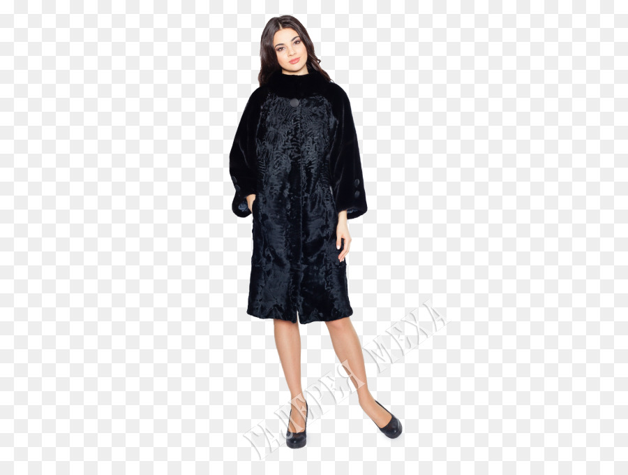 Petite Robe Noire，Vêtements En Fourrure PNG