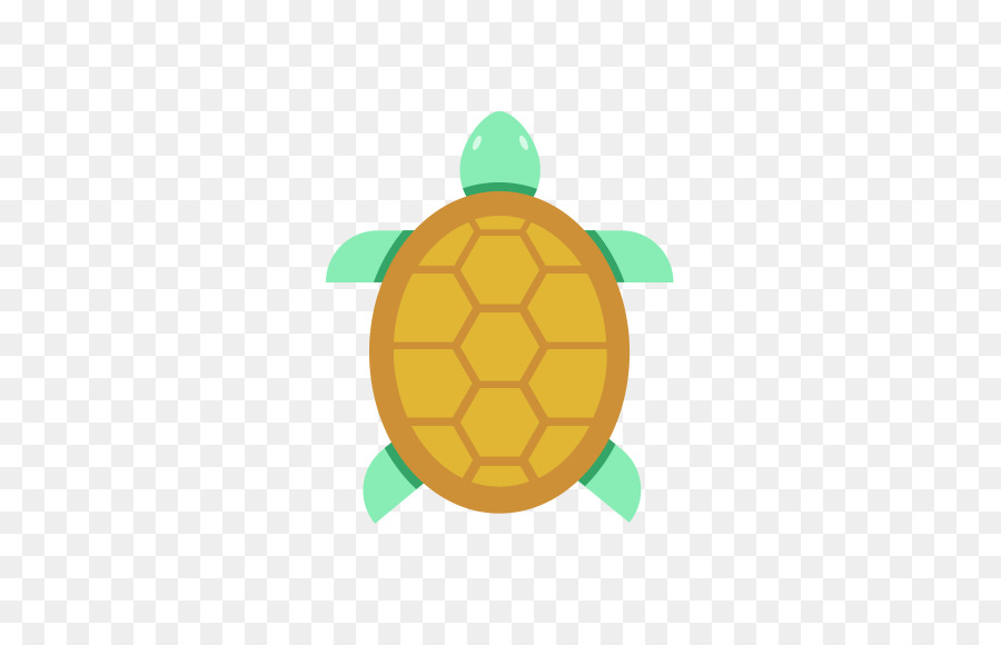 Tortue，Vert PNG