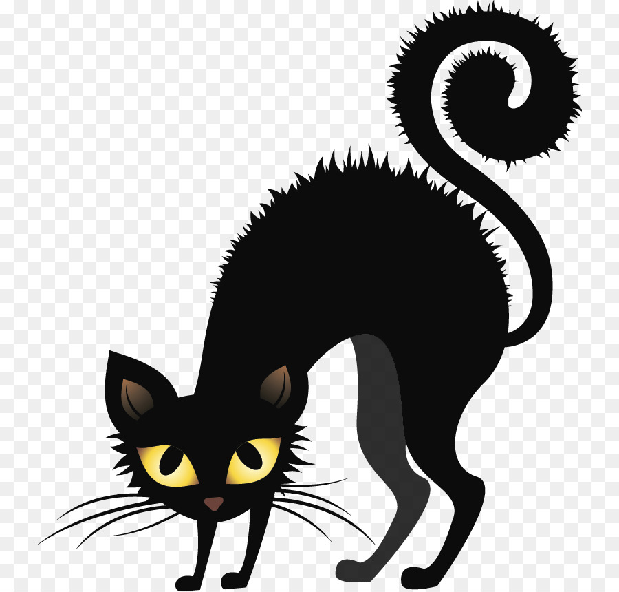 Chat Noir，Félin PNG