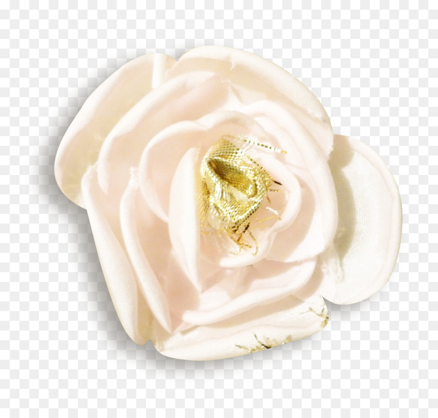 Les Roses De Jardin，Les Fleurs Coupées PNG