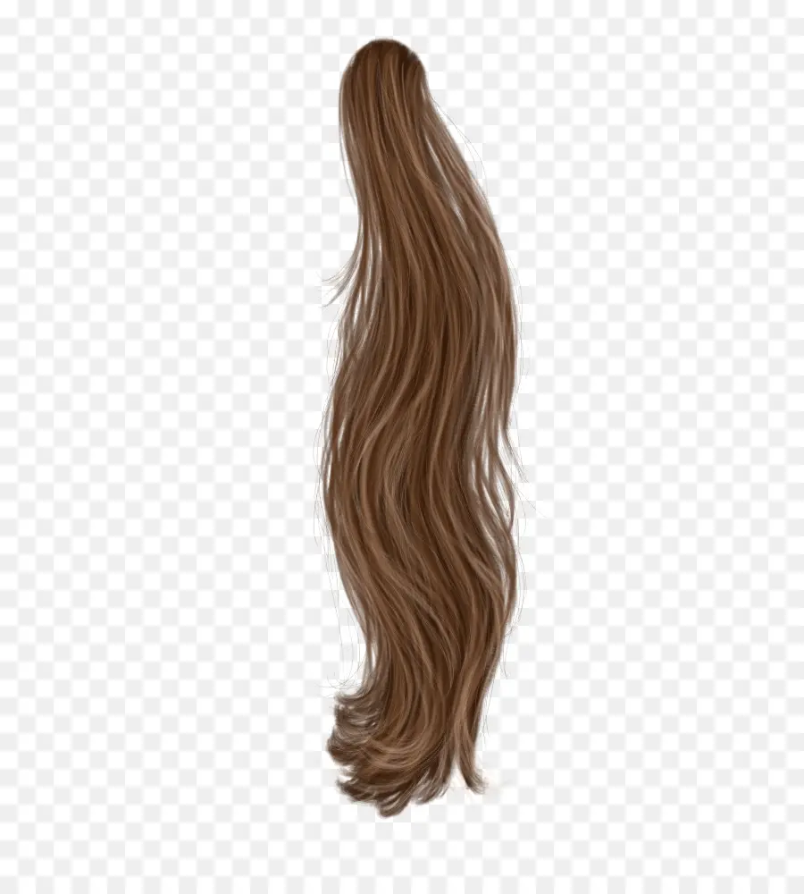 Cheveux Longs，Brun PNG