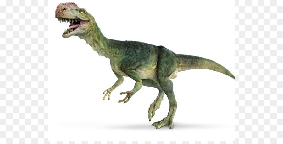 Tyrannosaure Rex，Préhistorique PNG