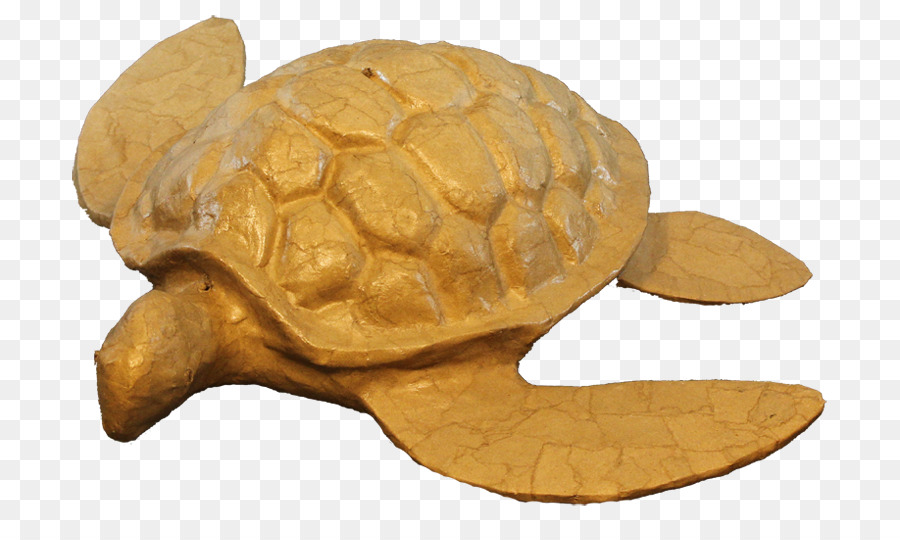 Urne，Tortue PNG