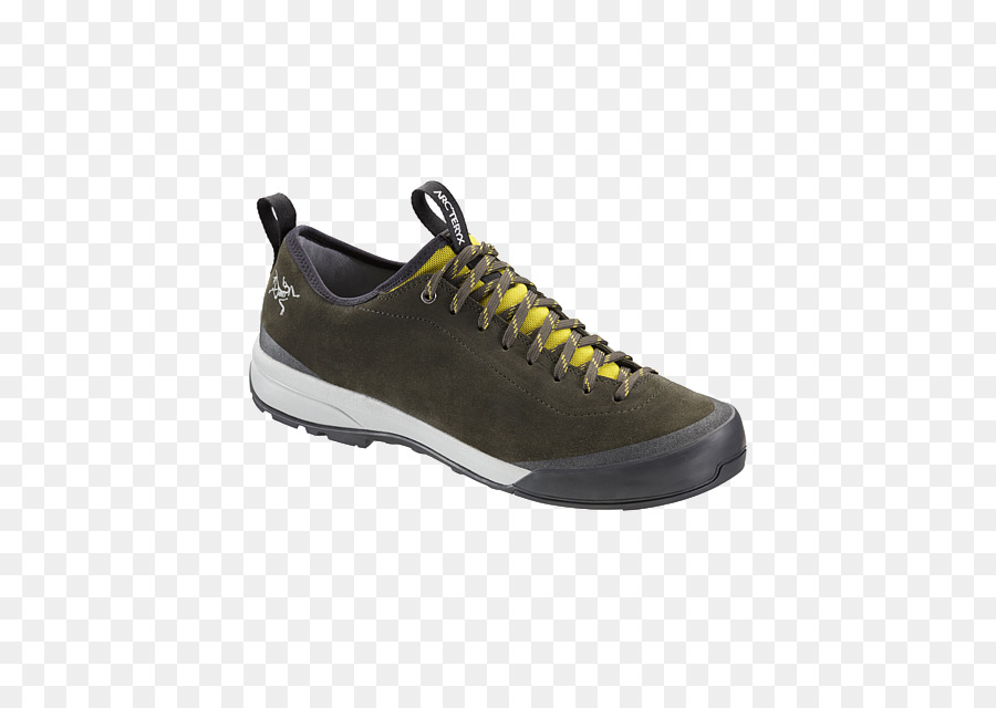 Chaussure D'approche，Chaussure PNG