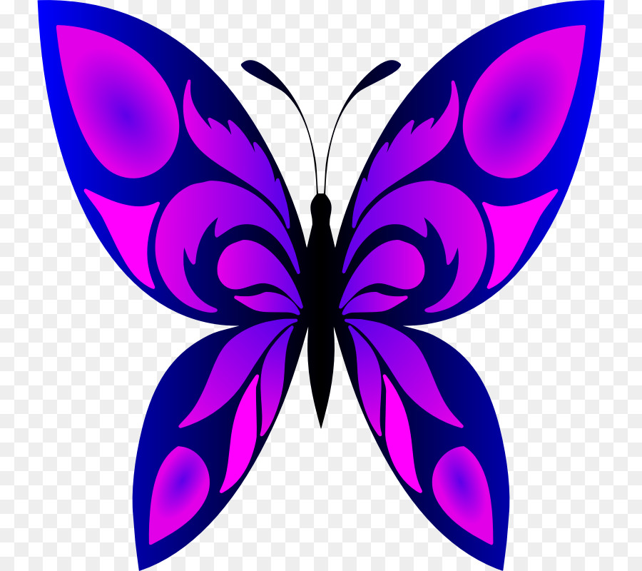 Papillon Violet，Insecte PNG