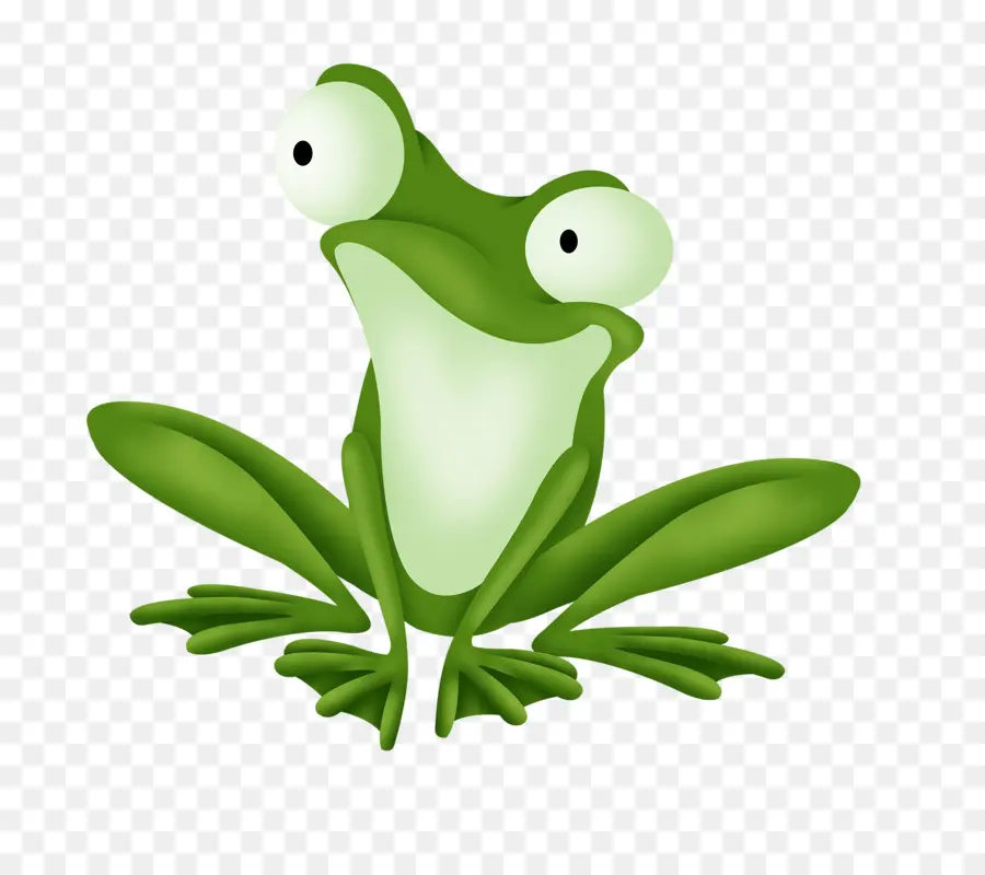 Grenouille De Dessin Animé，Amphibie PNG