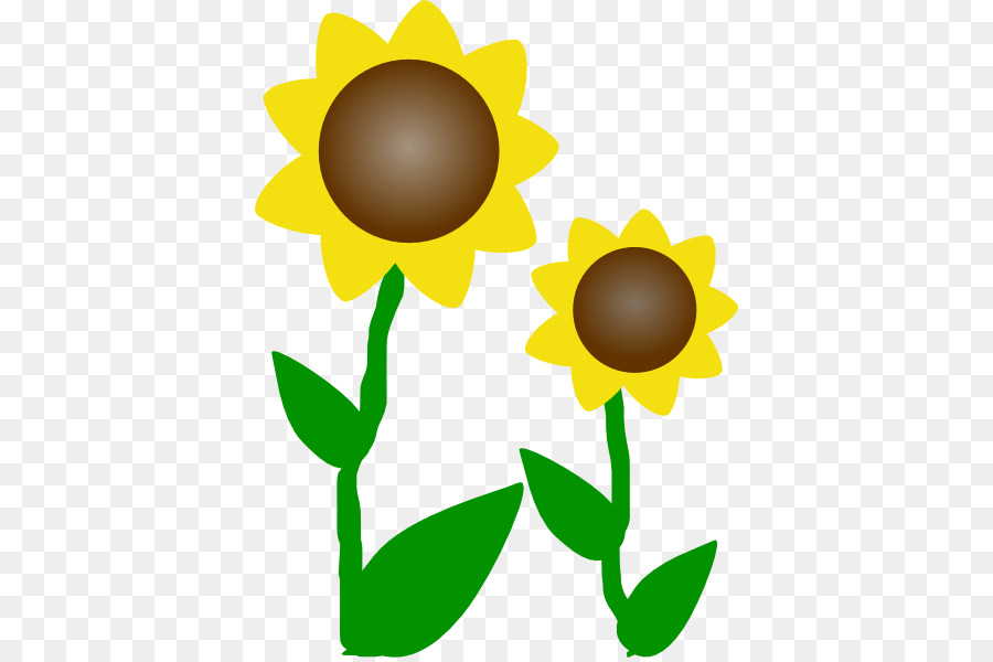 Fleur Jaune，Nature PNG