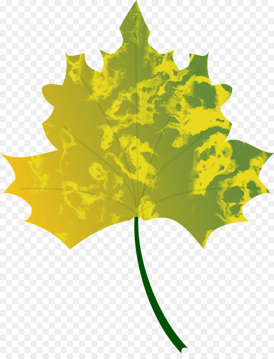 Feuille Jaune，Automne PNG