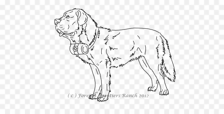 Dessin Au Trait De Chien，Canin PNG