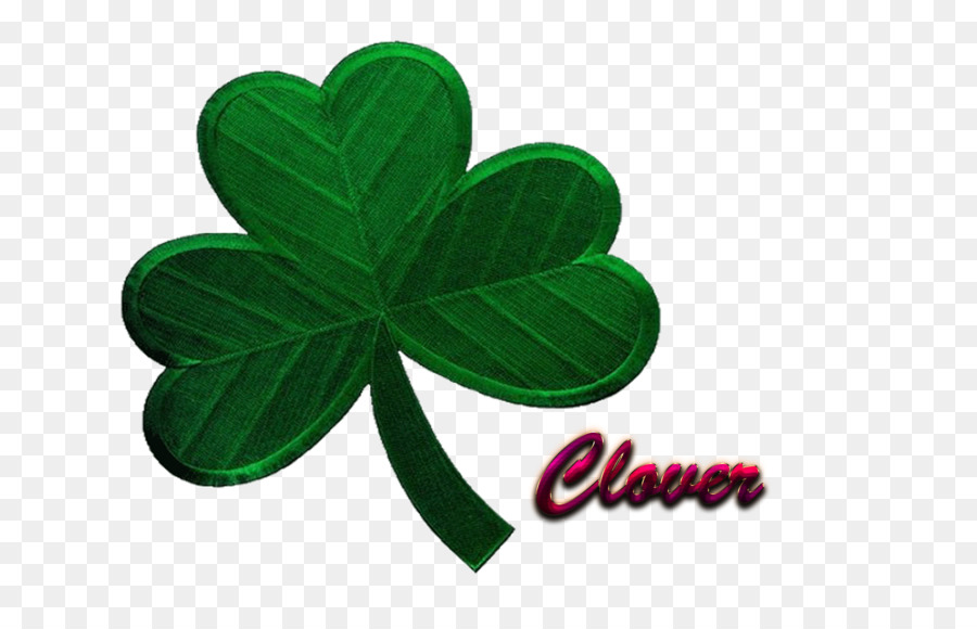 Shamrock，L Irlande PNG