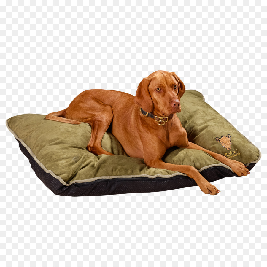 Chien Sur Le Lit，Animal De Compagnie PNG