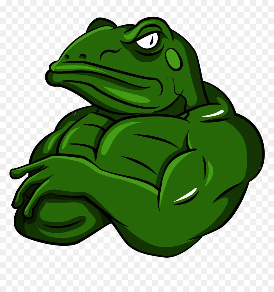 Grenouille Musclée，Dessin Animé PNG