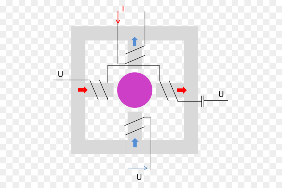 Macula De La Rétine，Les Yeux PNG