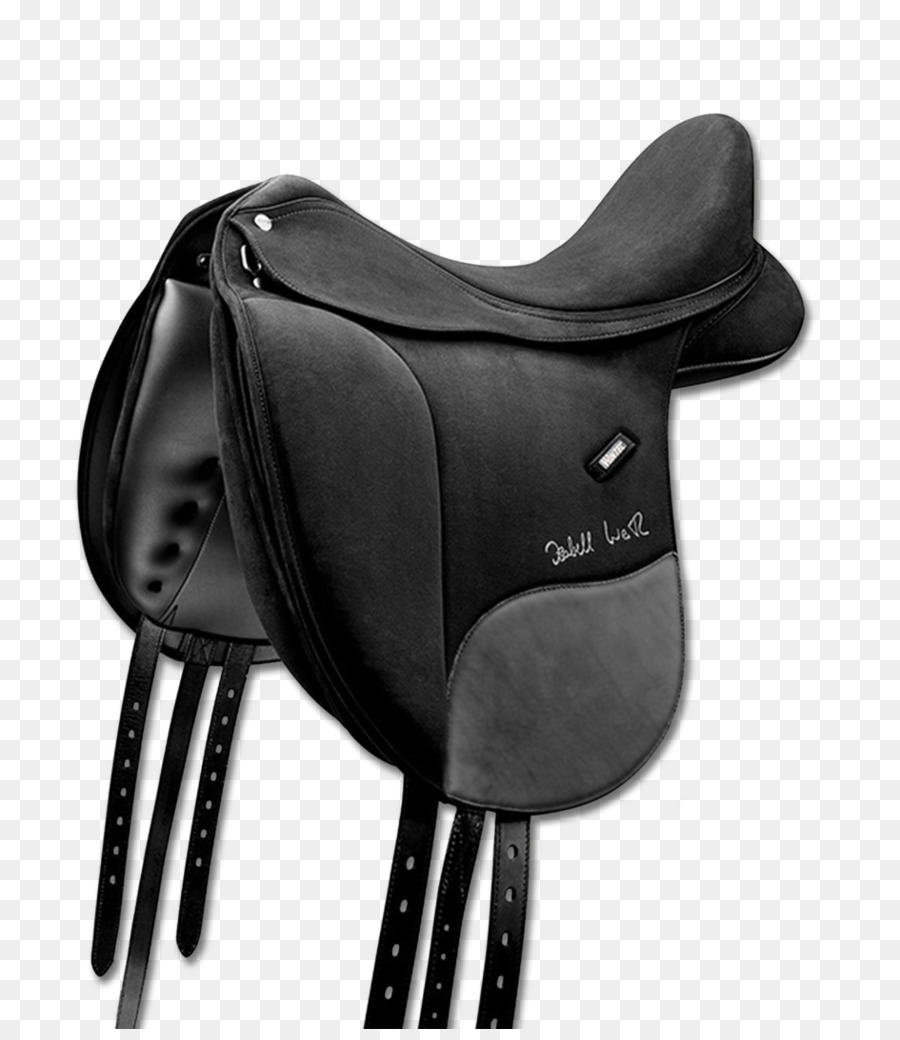 Selle De Cheval，Cheval PNG