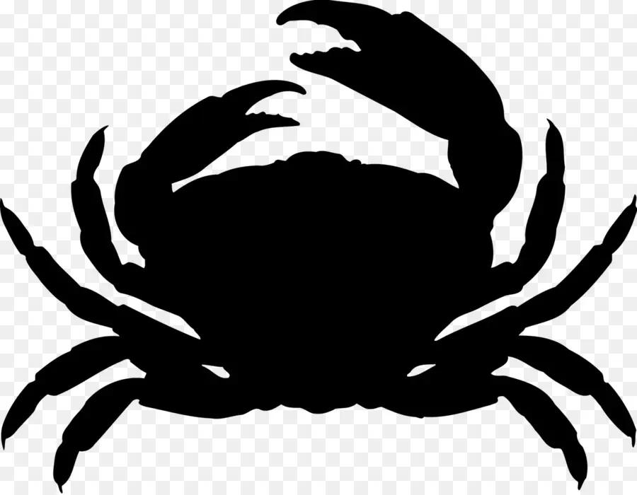 Silhouette De Crabe，Astrologie PNG