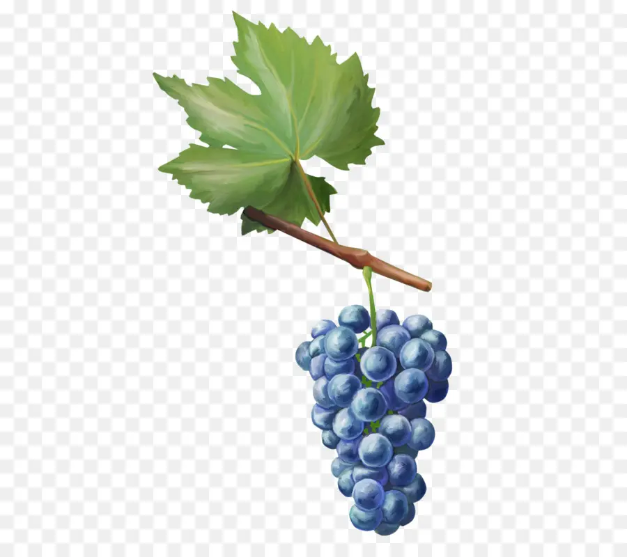 Raisins，Fruit PNG