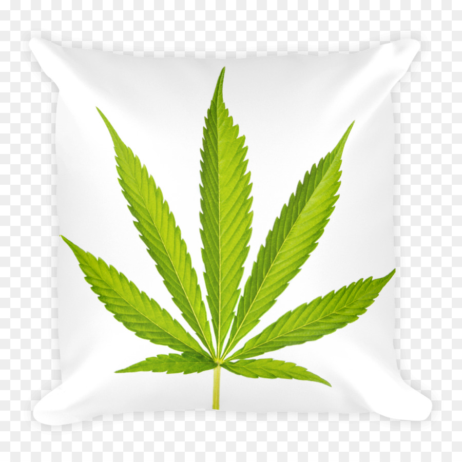 Le Cannabis，Cannabis Sativa PNG