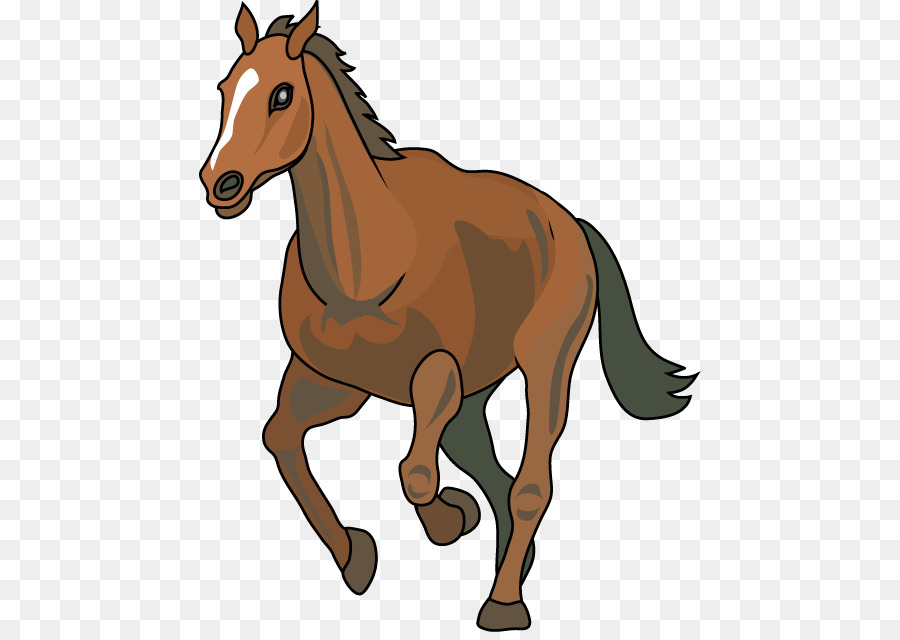 Cheval，Brun PNG