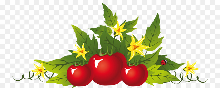 Tomates，Légume PNG