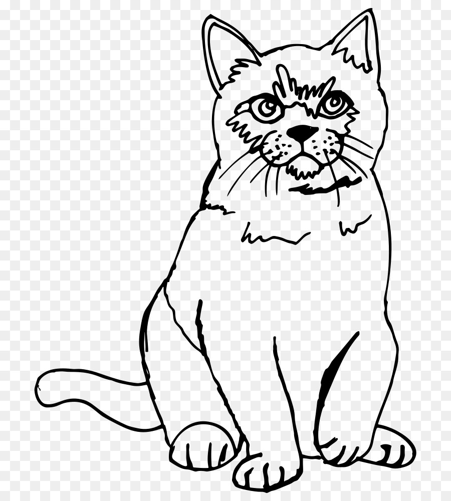 Chat，Animal De Compagnie PNG