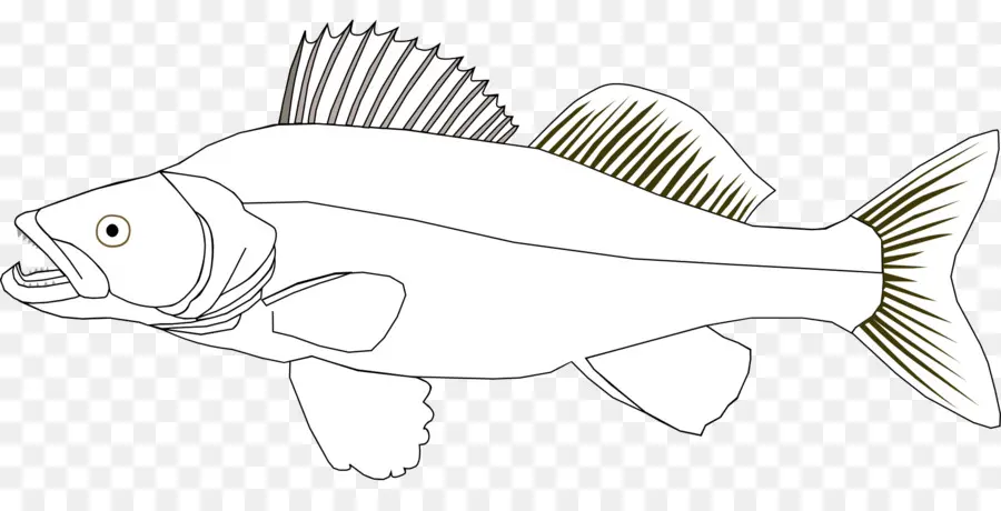 Poisson，Aquatique PNG