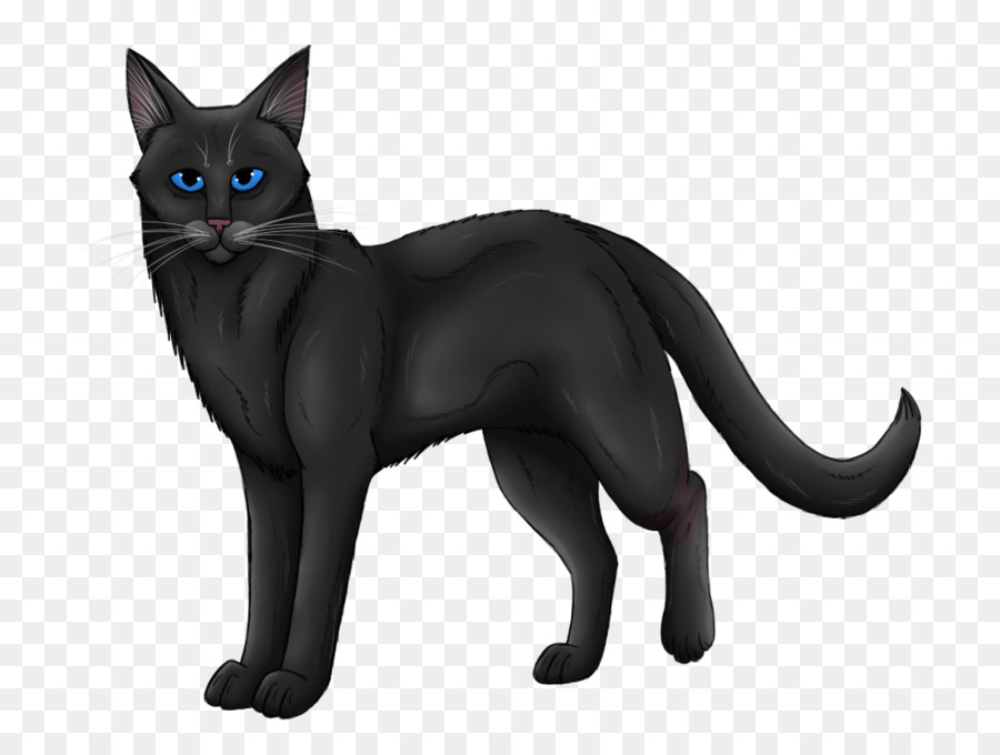 Chat Noir，Animal De Compagnie PNG